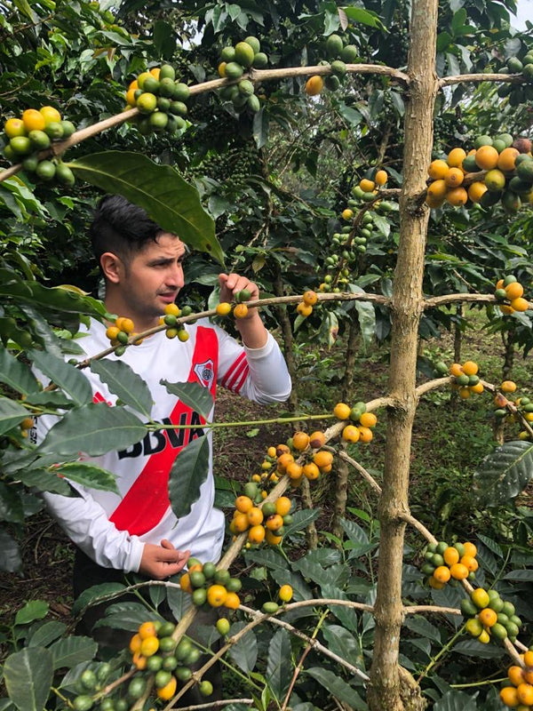 Esnaider Ortega Gomez